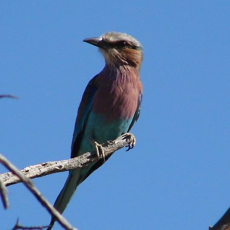 أوتجو Onduri Lodge المظهر الخارجي الصورة