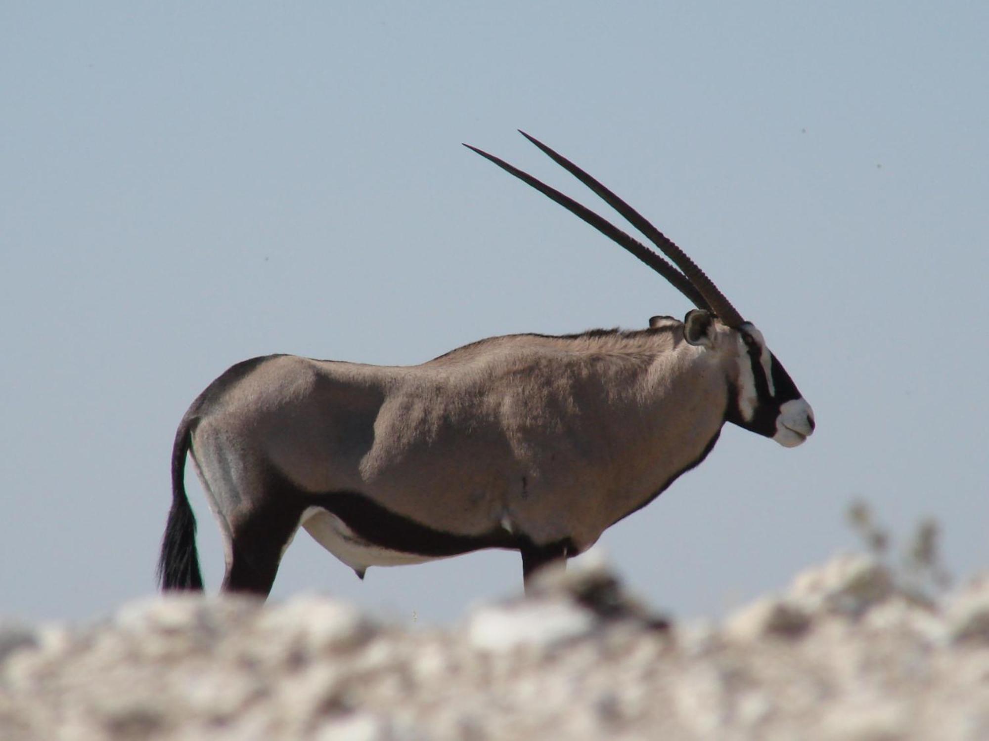 أوتجو Onduri Lodge المظهر الخارجي الصورة