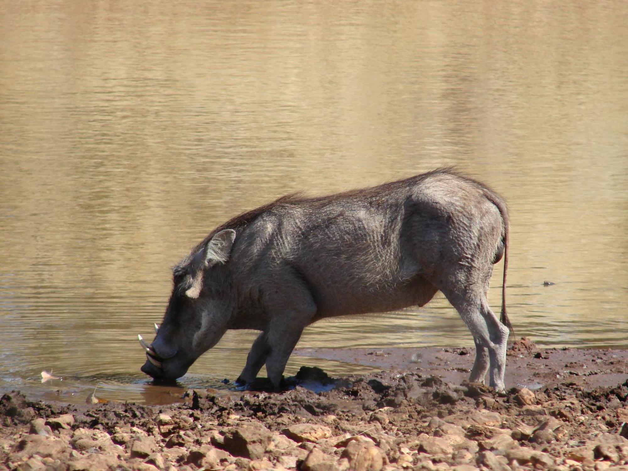 أوتجو Onduri Lodge المظهر الخارجي الصورة