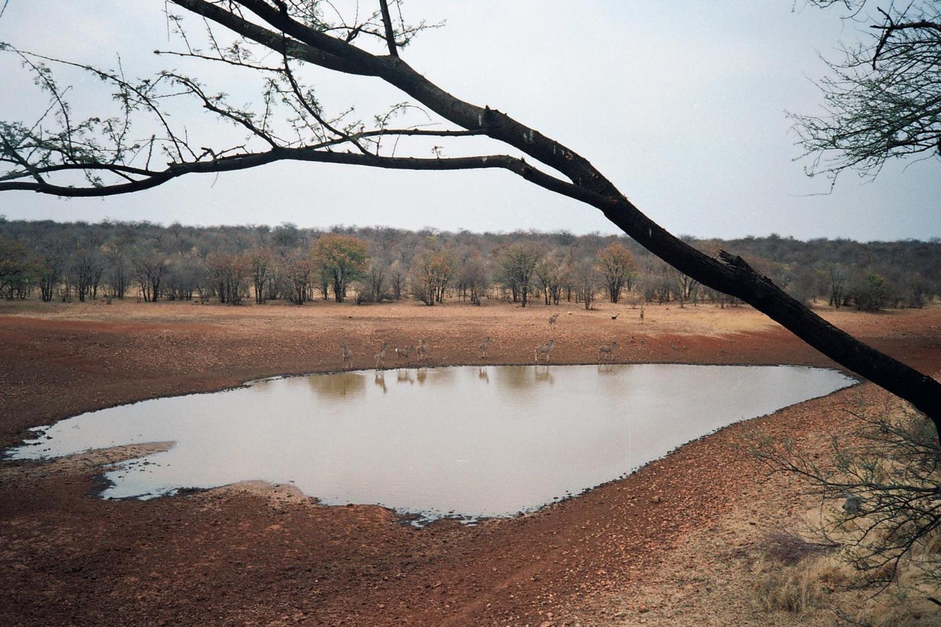 أوتجو Onduri Lodge المظهر الخارجي الصورة