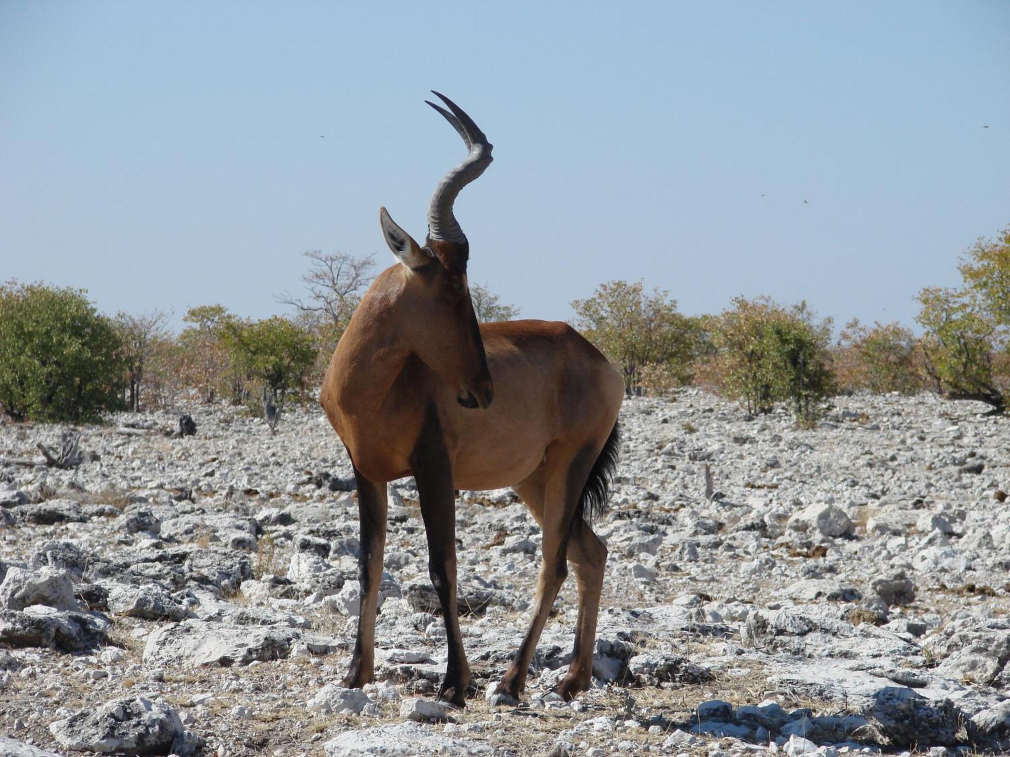 أوتجو Onduri Lodge المظهر الخارجي الصورة