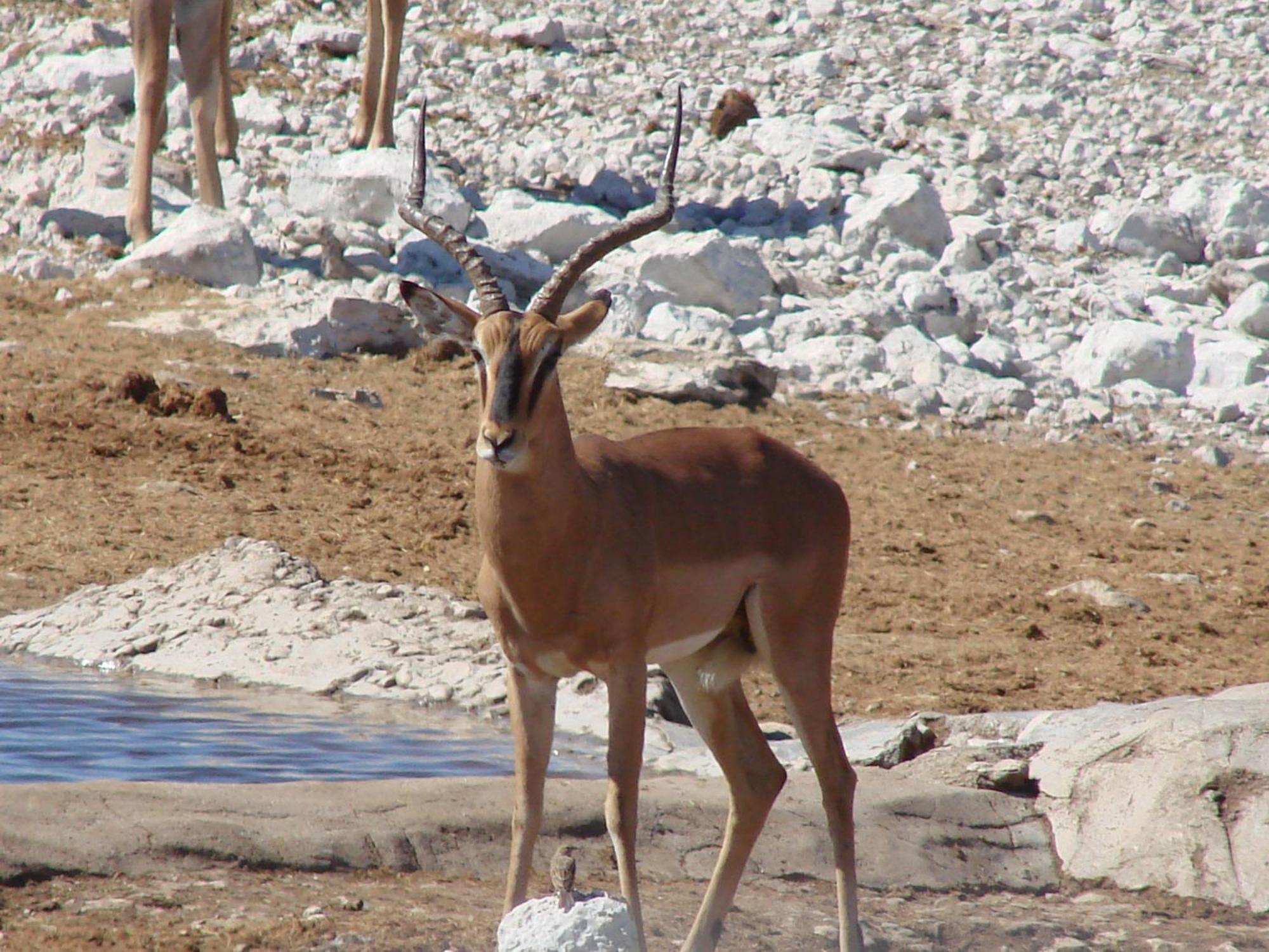 أوتجو Onduri Lodge المظهر الخارجي الصورة