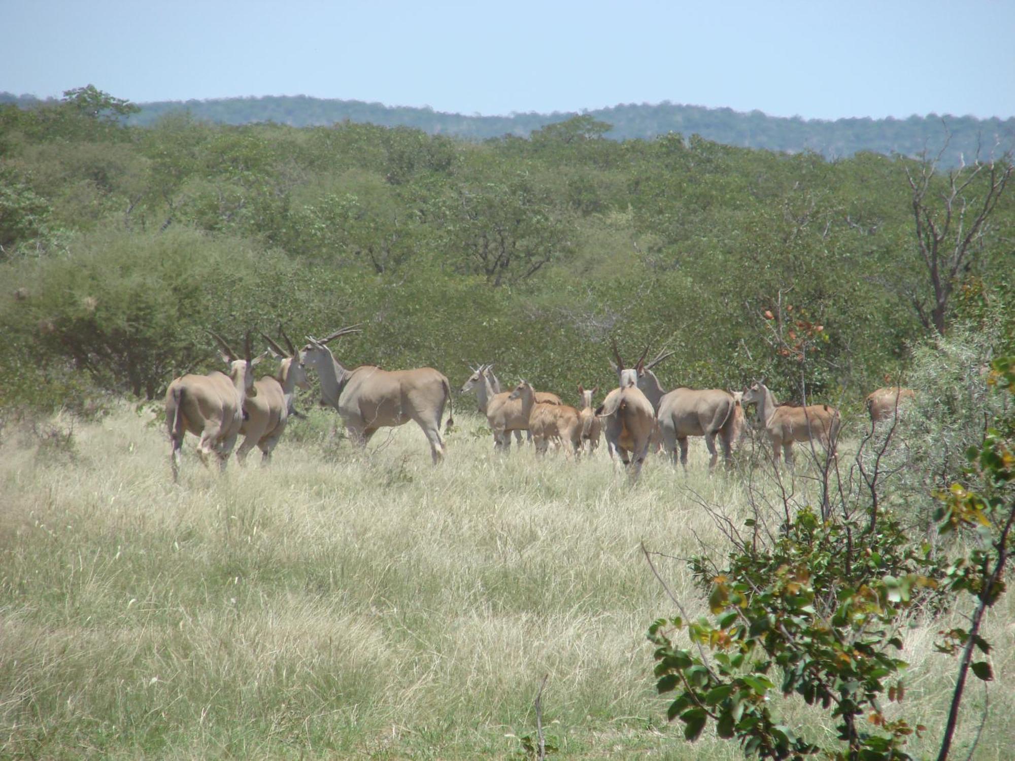 أوتجو Onduri Lodge المظهر الخارجي الصورة