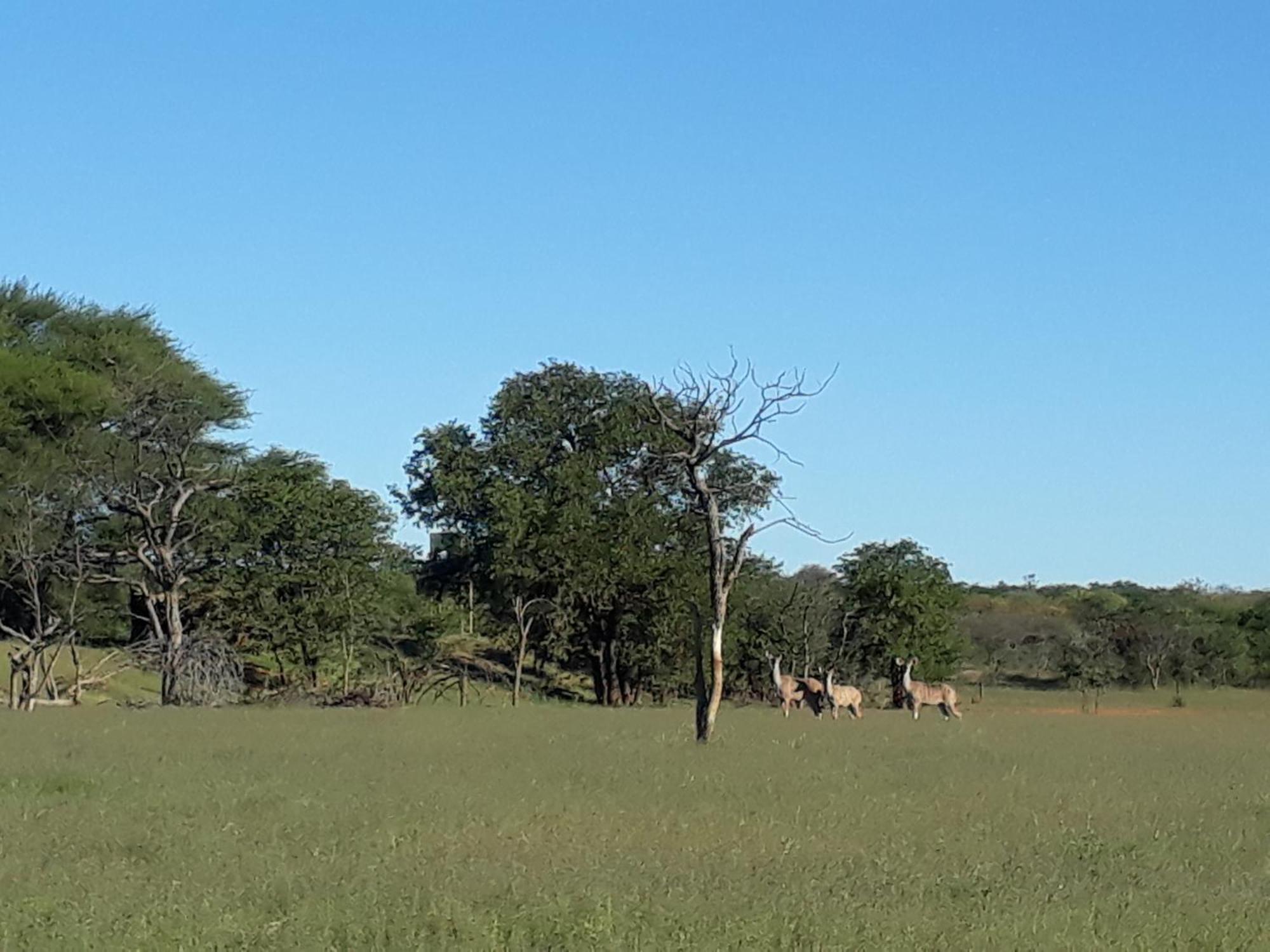 أوتجو Onduri Lodge المظهر الخارجي الصورة